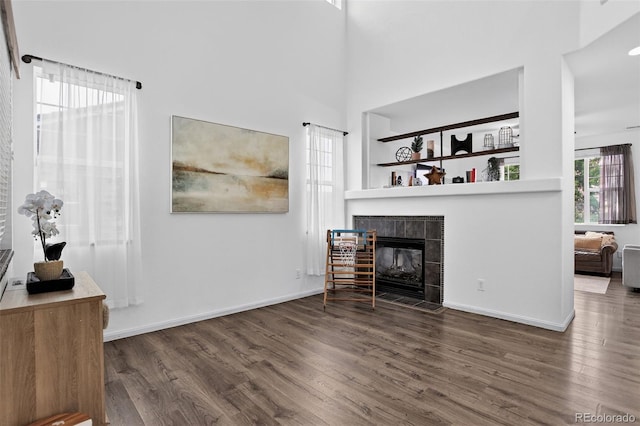 425 Peabody St, Castle Rock, CO 80104 - photo 5