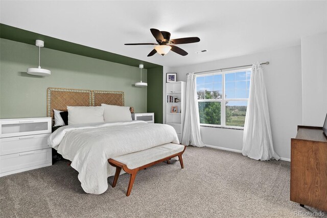 425 Peabody St, Castle Rock, CO 80104 - photo 17