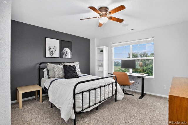425 Peabody St, Castle Rock, CO 80104 - photo 21