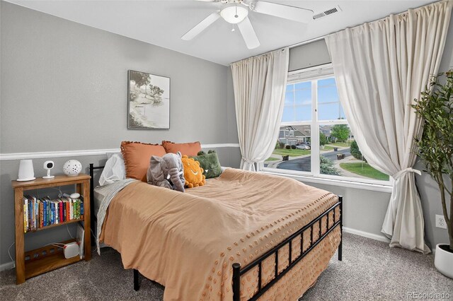 425 Peabody St, Castle Rock, CO 80104 - photo 22