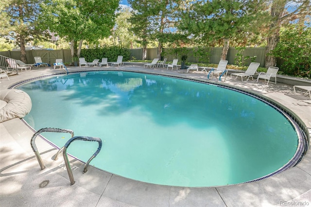 view of swimming pool with a patio