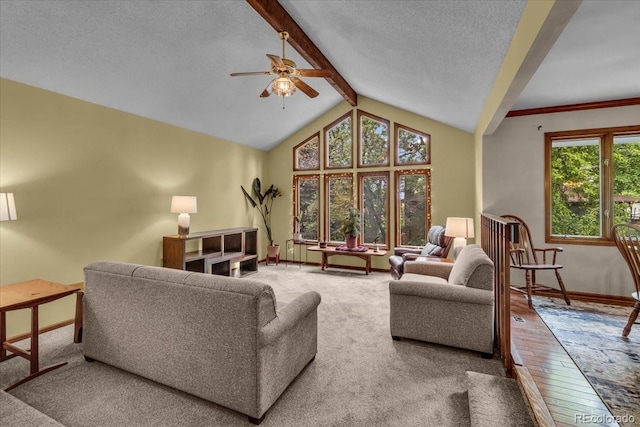 1665 W 113th Ave, Denver, CO 80234 - carpeted living room featuring a ceiling fan, baseboards, a textured ceiling, and hardwood / wood-style flooring