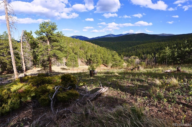 000 Turkey Gulch Rd, Idaho Springs, CO 80452