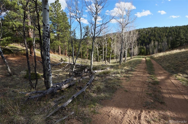 000 Turkey Gulch Rd, Idaho Springs, CO 80452