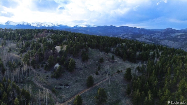 000 Turkey Gulch Rd, Idaho Springs, CO 80452