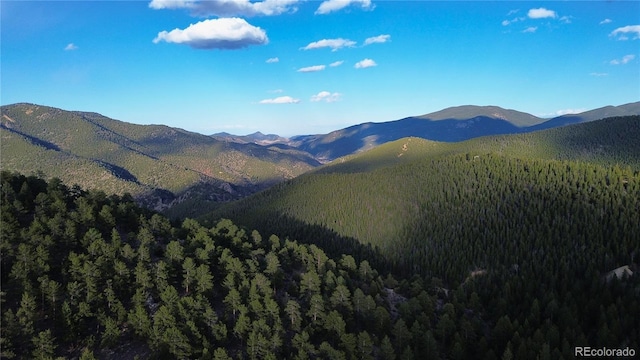 000 Turkey Gulch Rd, Idaho Springs, CO 80452