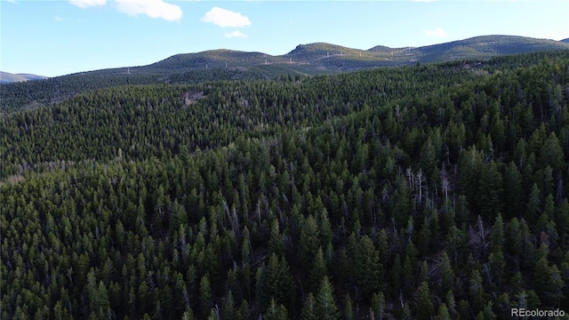 000 Turkey Gulch Rd, Idaho Springs, CO 80452