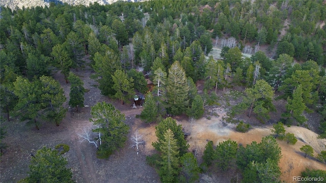 000 Turkey Gulch Rd, Idaho Springs, CO 80452