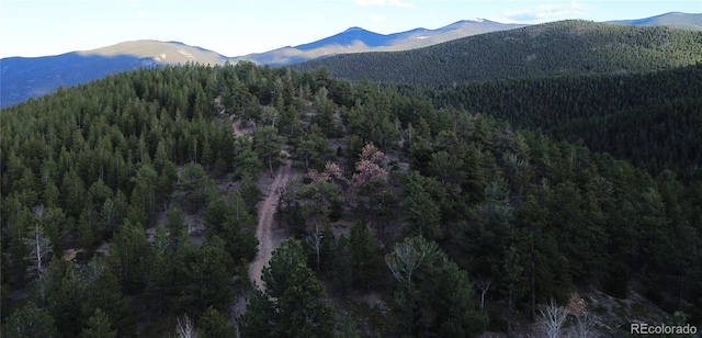 000 Turkey Gulch Rd, Idaho Springs, CO 80452