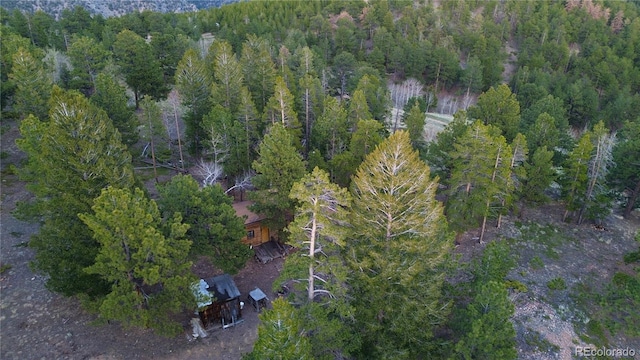 000 Turkey Gulch Rd, Idaho Springs, CO 80452