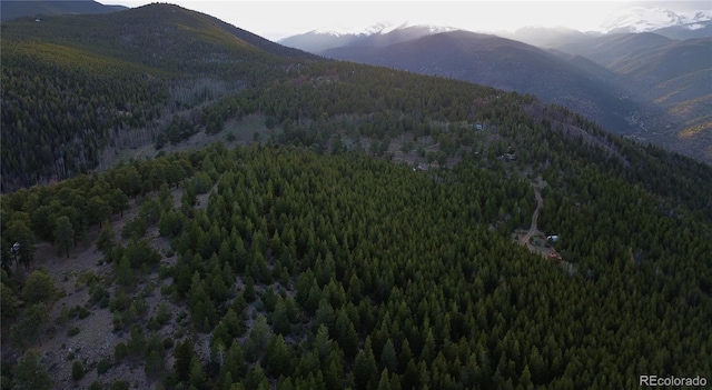 000 Turkey Gulch Rd, Idaho Springs, CO 80452
