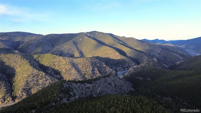 000 Turkey Gulch Rd, Idaho Springs, CO 80452