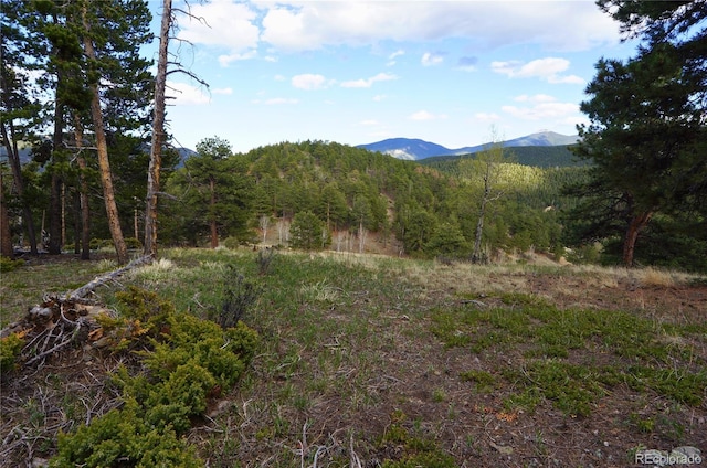 000 Turkey Gulch Rd, Idaho Springs, CO 80452