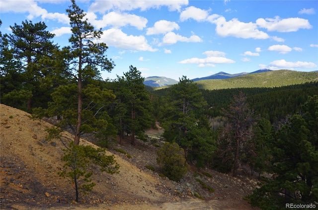000 Turkey Gulch Rd, Idaho Springs, CO 80452
