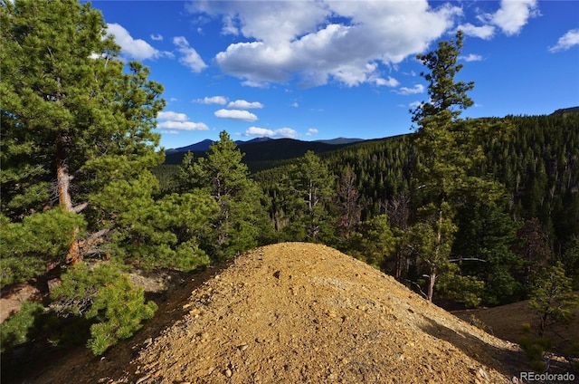 000 Turkey Gulch Rd, Idaho Springs, CO 80452