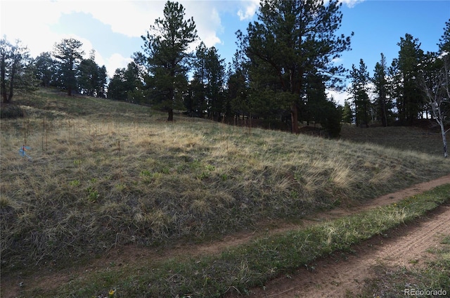 000 Turkey Gulch Rd, Idaho Springs, CO 80452