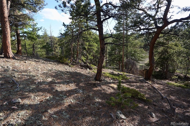 000 Turkey Gulch Rd, Idaho Springs, CO 80452