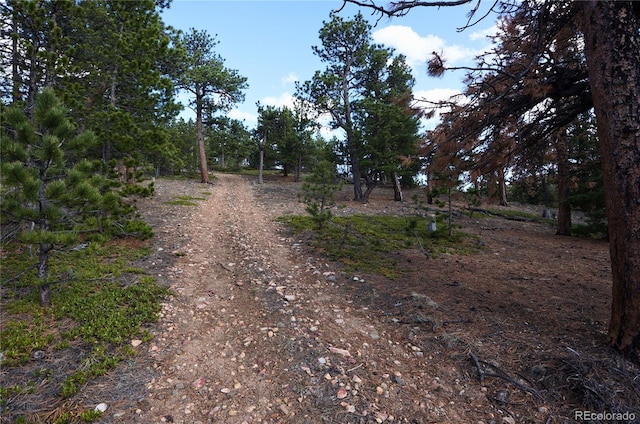 000 Turkey Gulch Rd, Idaho Springs, CO 80452
