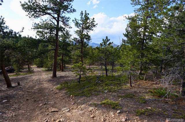 000 Turkey Gulch Rd, Idaho Springs, CO 80452