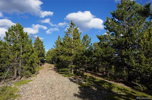 000 Turkey Gulch Rd, Idaho Springs, CO 80452