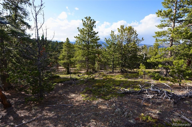 000 Turkey Gulch Rd, Idaho Springs, CO 80452