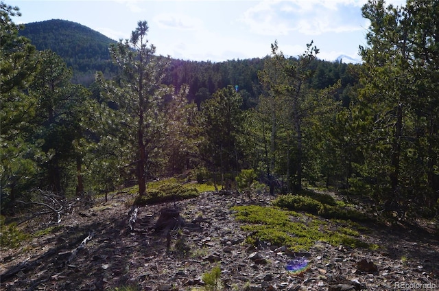 000 Turkey Gulch Rd, Idaho Springs, CO 80452