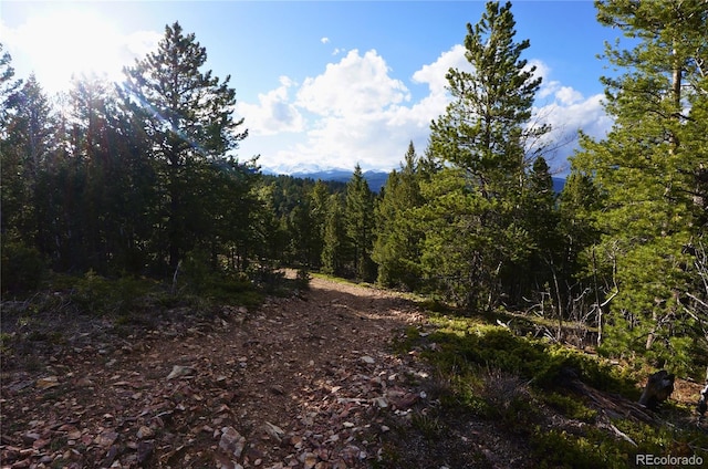 000 Turkey Gulch Rd, Idaho Springs, CO 80452