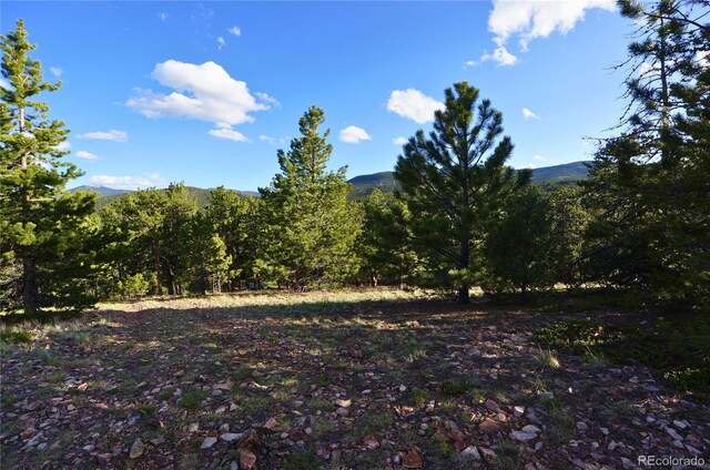 000 Turkey Gulch Rd, Idaho Springs, CO 80452
