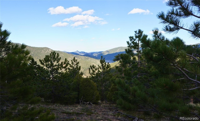 000 Turkey Gulch Rd, Idaho Springs, CO 80452
