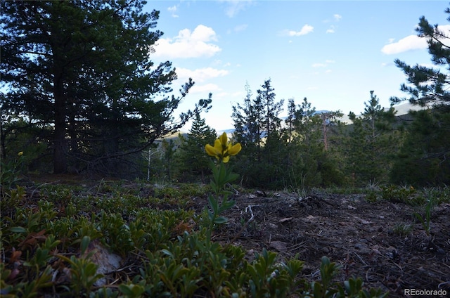 000 Turkey Gulch Rd, Idaho Springs, CO 80452