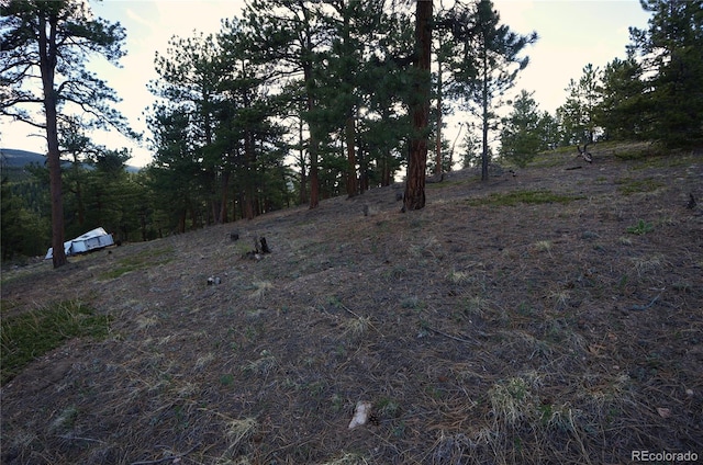 000 Turkey Gulch Rd, Idaho Springs, CO 80452