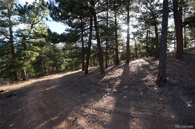 000 Turkey Gulch Rd, Idaho Springs, CO 80452