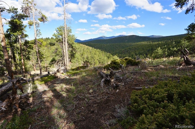 000 Turkey Gulch Rd, Idaho Springs, CO 80452