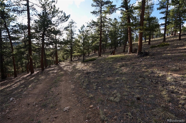 000 Turkey Gulch Rd, Idaho Springs, CO 80452