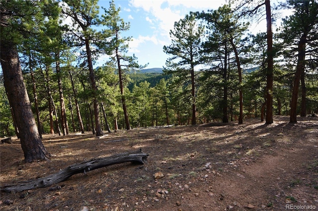 000 Turkey Gulch Rd, Idaho Springs, CO 80452