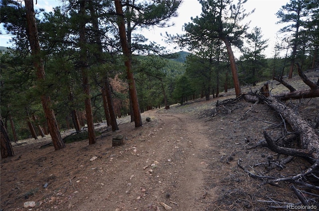 000 Turkey Gulch Rd, Idaho Springs, CO 80452