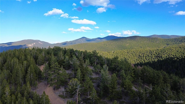000 Turkey Gulch Rd, Idaho Springs, CO 80452