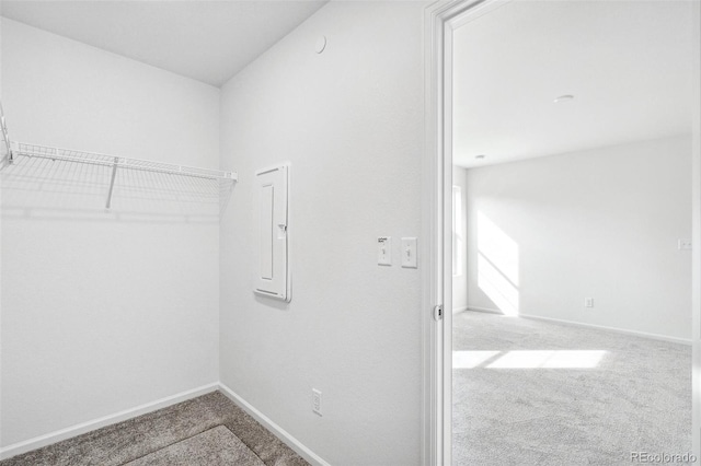 spacious closet featuring carpet floors and electric panel