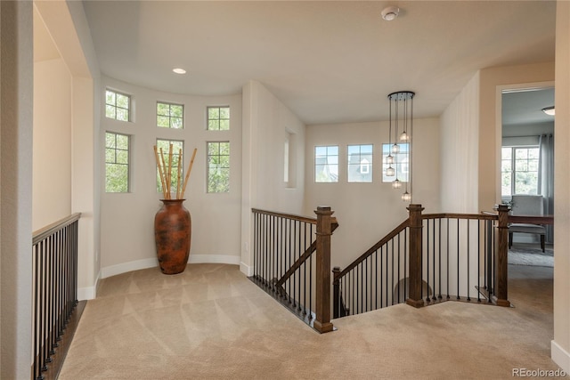 9266 E 35th Ave, Denver, CO 80238 - staircase featuring carpet floors, plenty of natural light, and baseboards