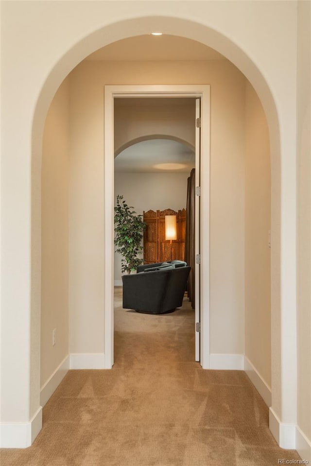 9266 E 35th Ave, Denver, CO 80238 - corridor with carpet flooring and baseboards