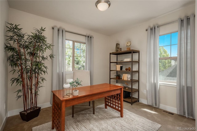 9266 E 35th Ave, Denver, CO 80238 - office with light carpet