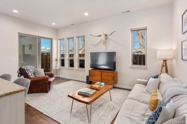 living room featuring hardwood / wood-style floors