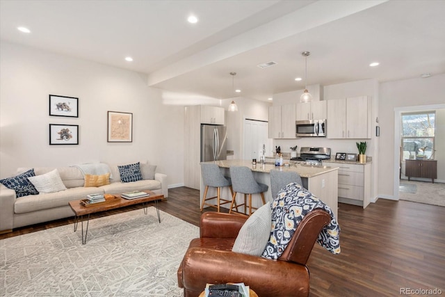 living room with dark hardwood / wood-style flooring and sink