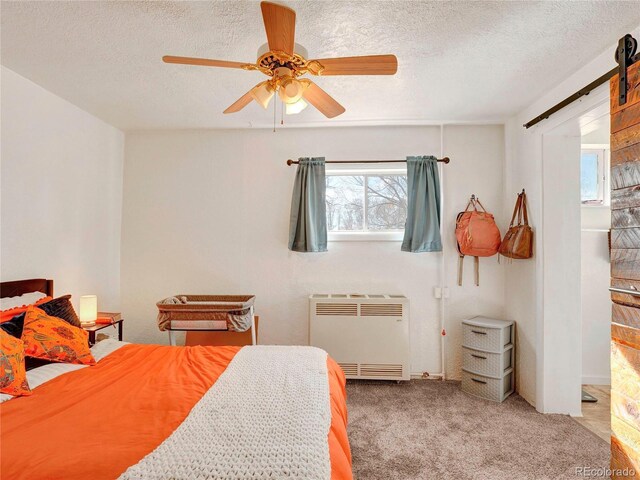 614-618 Main St, Blanca, CO 81123 - photo 17