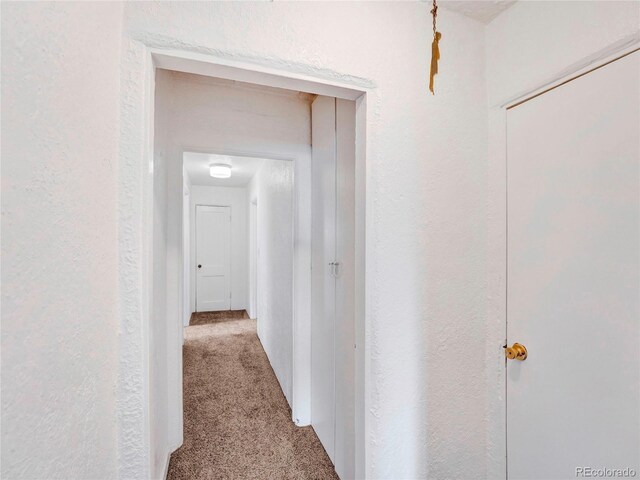 614-618 Main St, Blanca, CO 81123 - photo 21