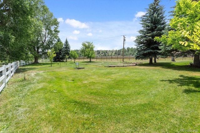 view of yard with a rural view