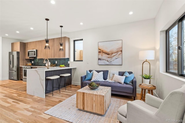 living room featuring sink and light wood-type flooring