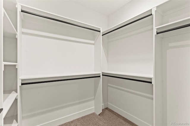 spacious closet with carpet floors