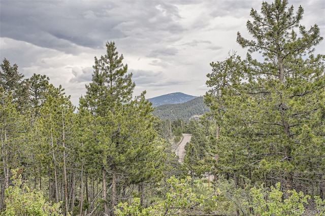 30839 Manitoba Dr, Evergreen, CO 80439 - view of mountain background featuring a forest