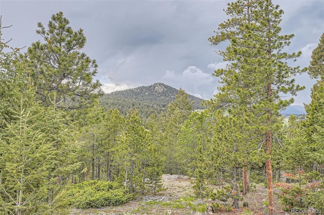 30839 Manitoba Dr, Evergreen, CO 80439 - view of mountain background with a forest